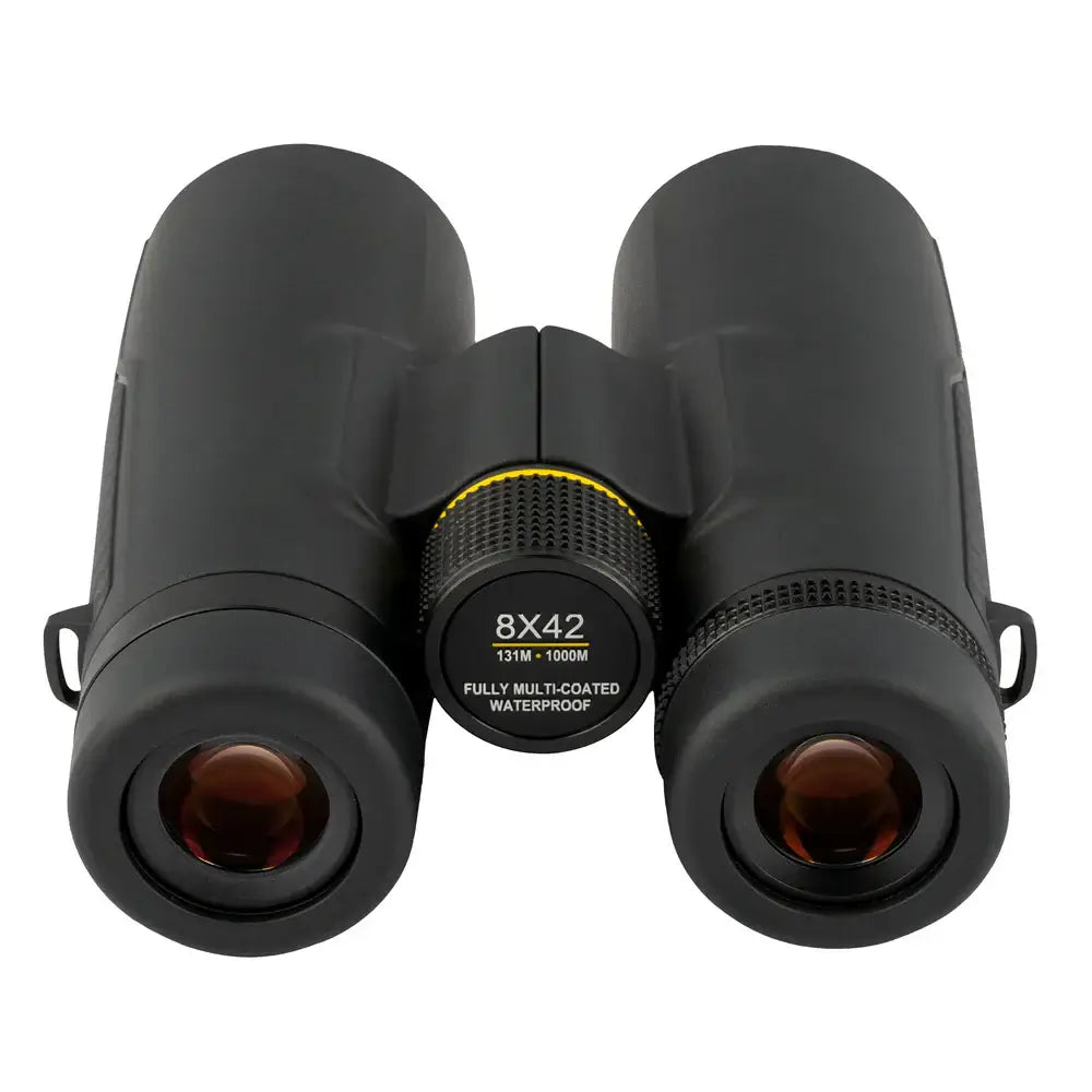 Top Rear view of black Explore Scientific binoculars on a white background.