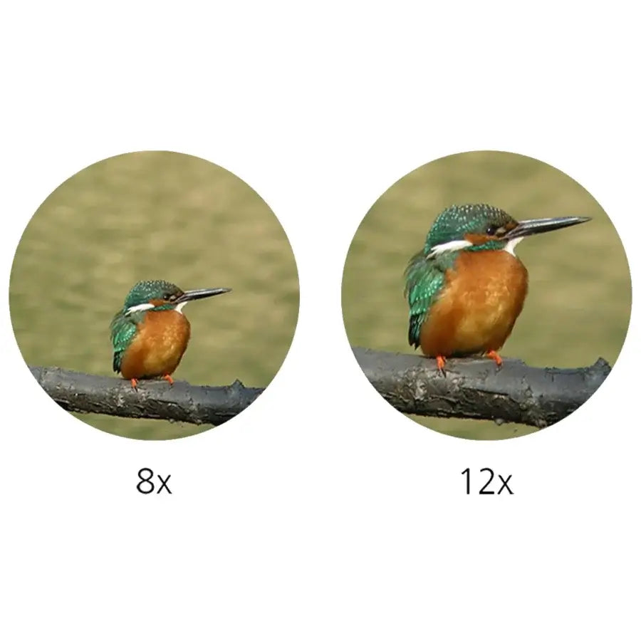 Comparison of bird images with 8x and 12x magnification using PROSTAFF 5 12x50 Binoculars.