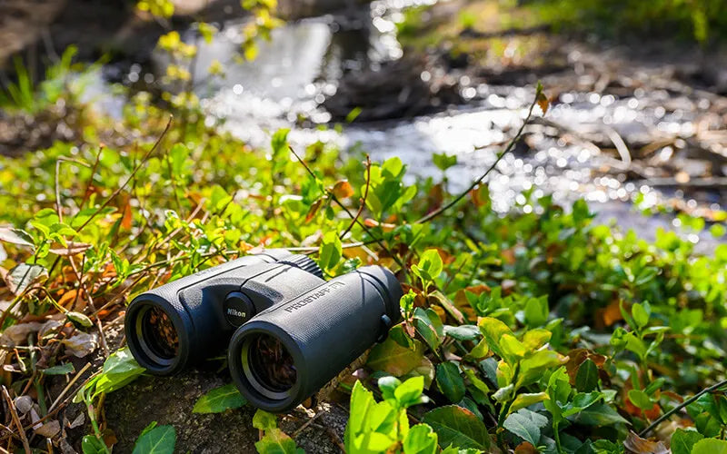 NIkon Prostaff P7 binoculars placed Creekside with greenery partially covering the product.