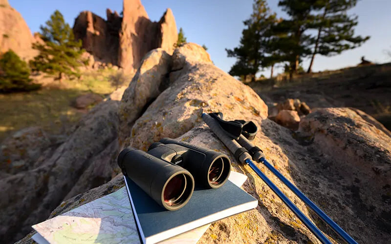 Binoculars and trekking poles on a rock with a scenic background of trees and mountains.