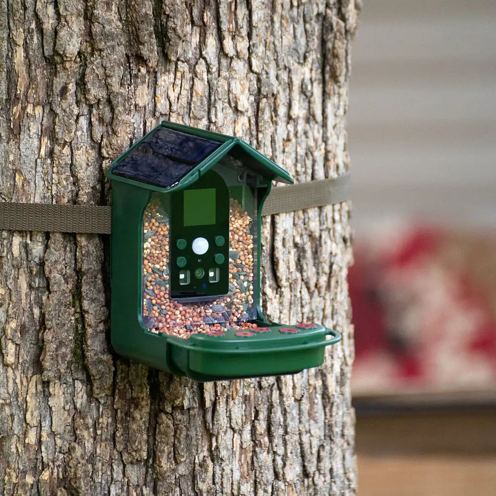 Green bird feeder attached to a tree trunk with a blurred background