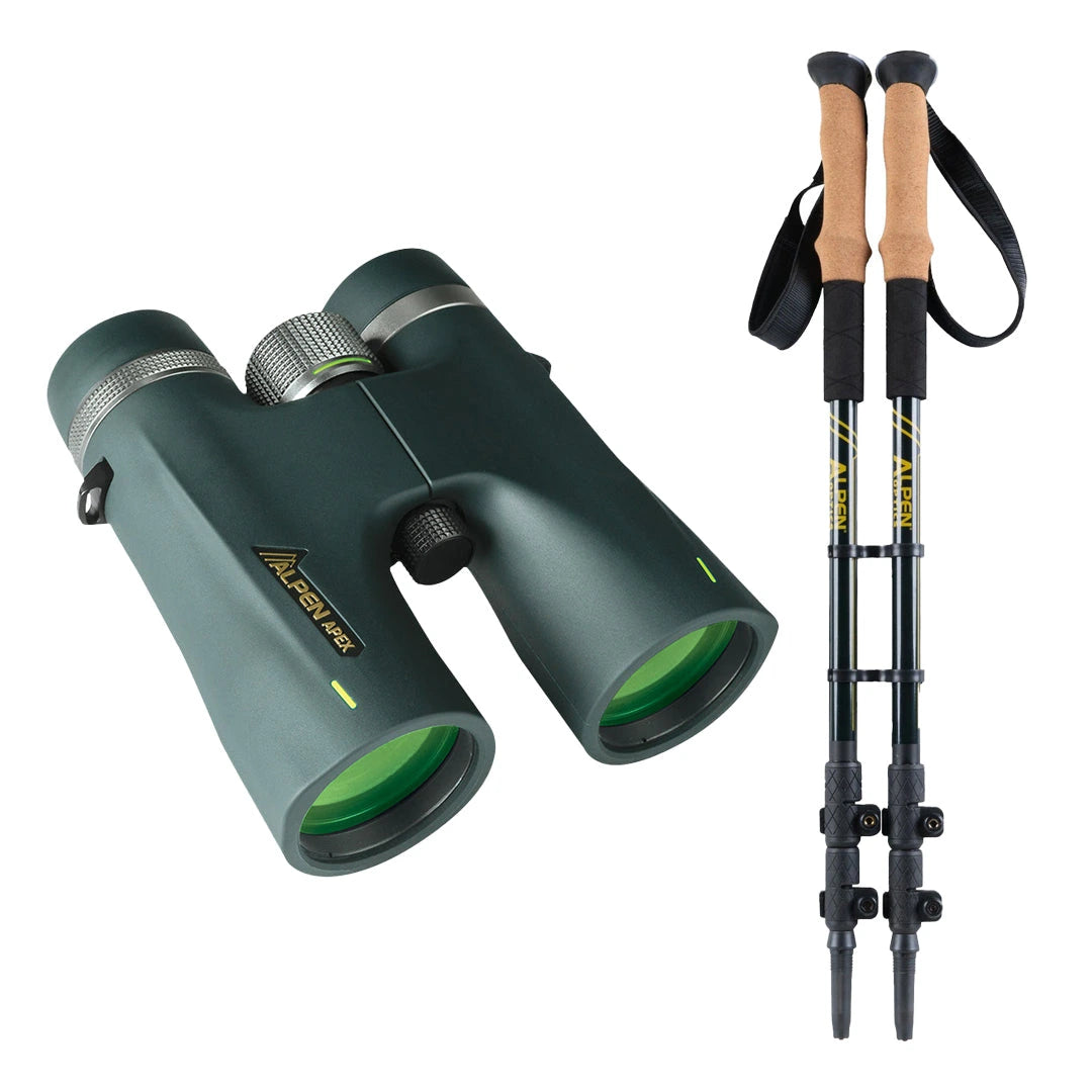 Green binoculars and hiking poles on a white background