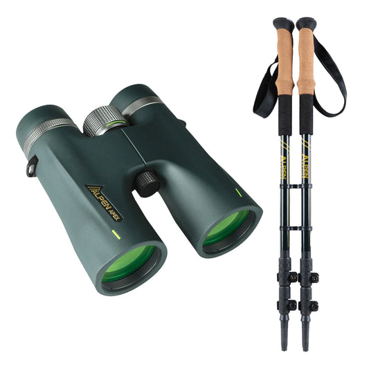Green binoculars and hiking poles on a white background