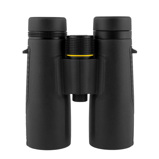 Top view of black Explore Scientific binoculars on a white background.  
