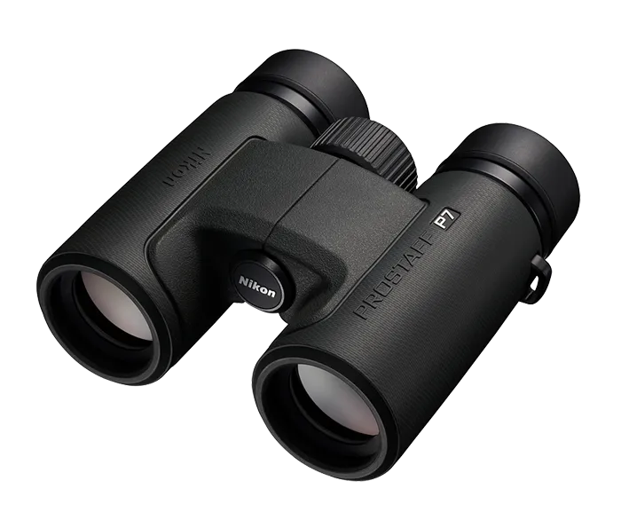 Black Nikon binoculars on a white background