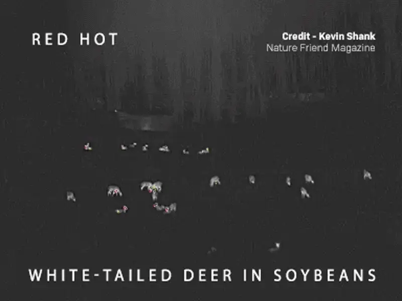 Alpen Apex Thermal Monocular 35mm night vision variant video. 