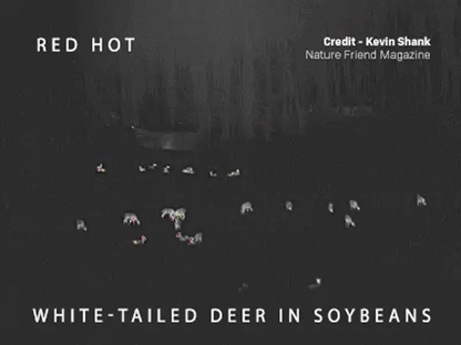 Alpen Apex Thermal Monocular 35mm night vision variant video. 