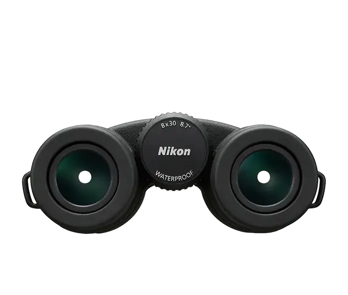 Nikon MONARCH HG binoculars product photo of the rear, the eyecups and focus knob on a white background.
