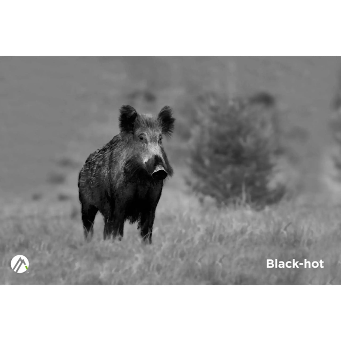 Alpen Apex Thermal Monocular 35mm night vision variant example.