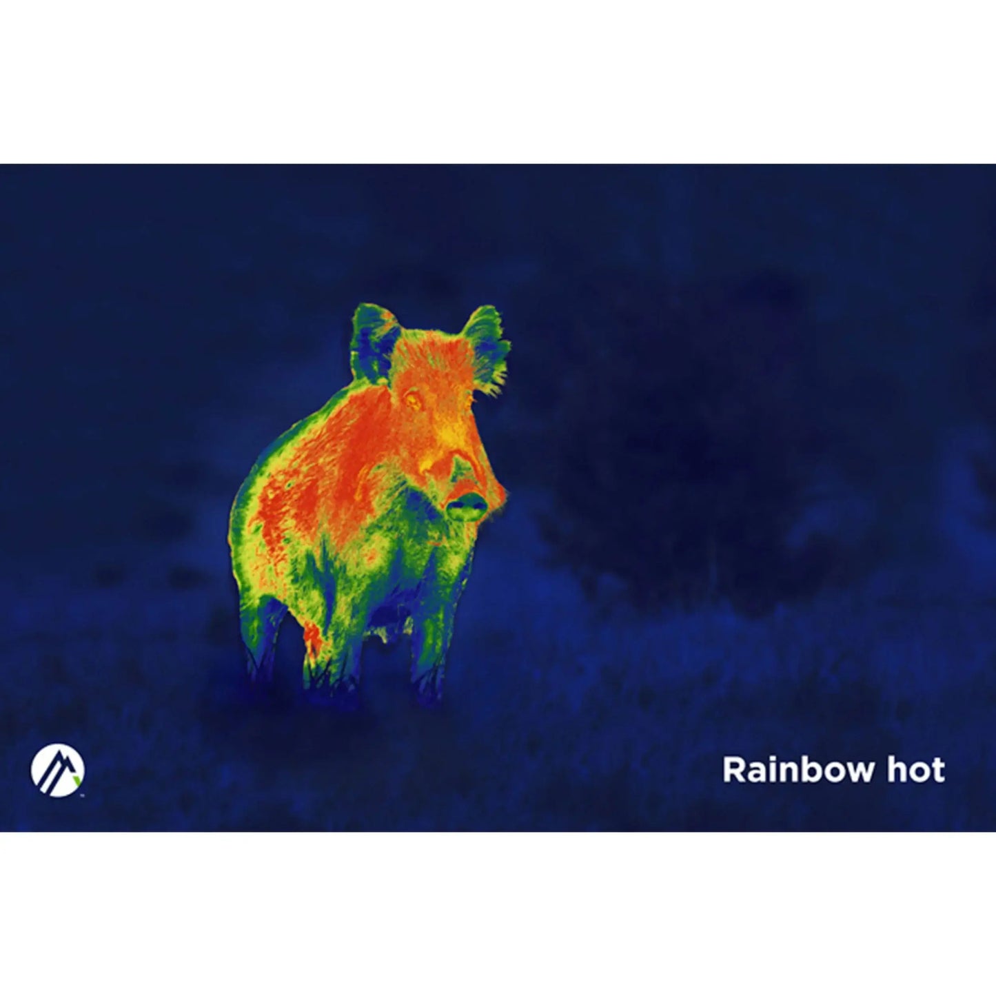 Alpen Apex Thermal Monocular 35mm night vision variant example.