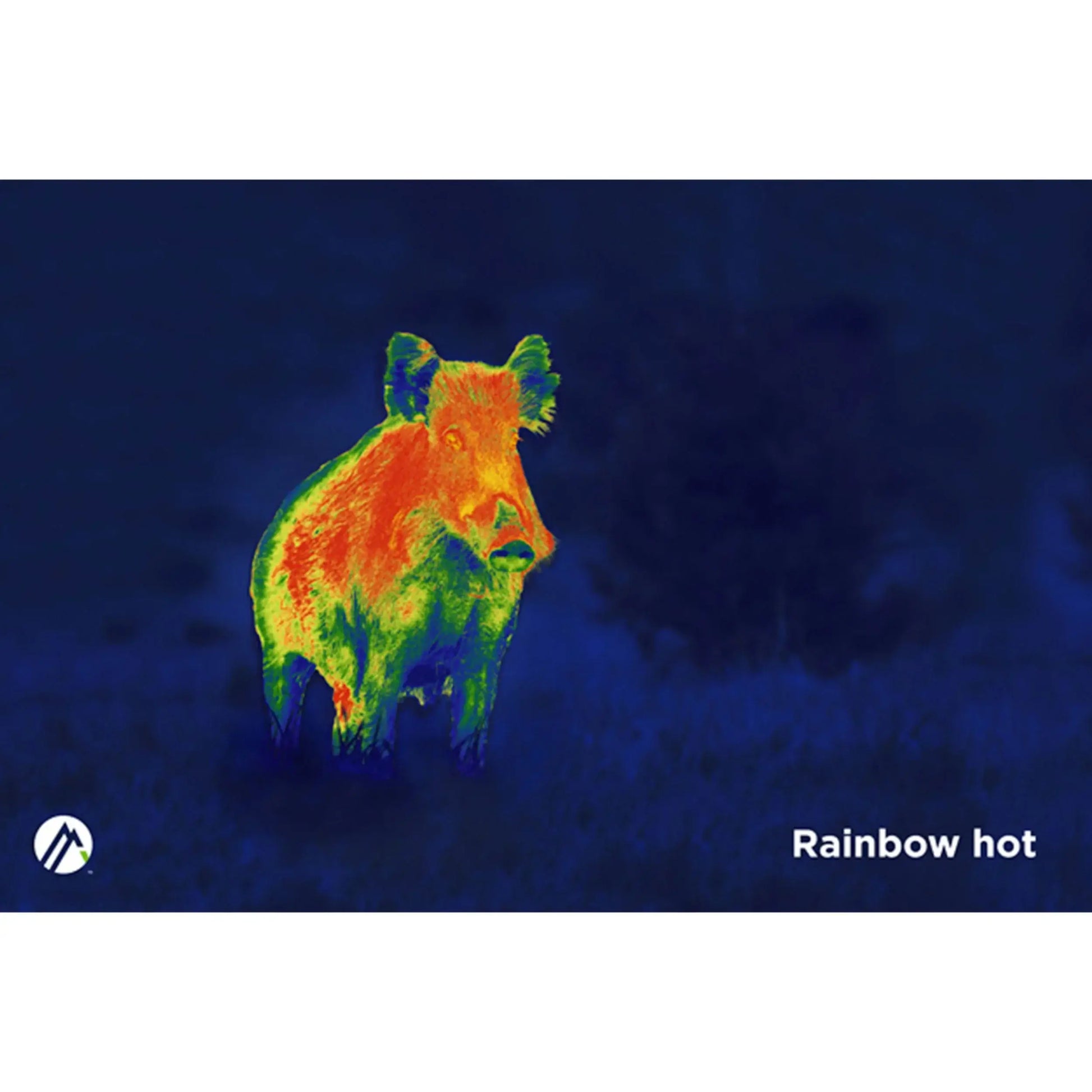 Alpen Apex Thermal Monocular 35mm night vision variant example.