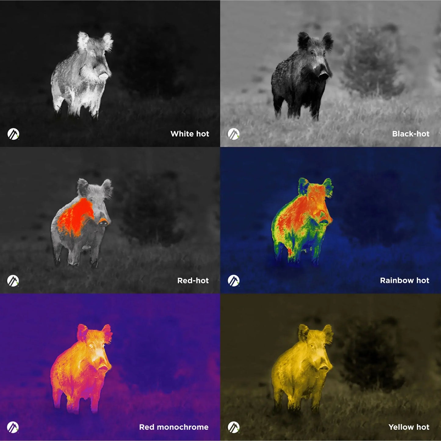 Alpen Apex Thermal Monocular 35mm night vision example images.